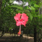 amy_img_1373