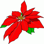 poinsettia3