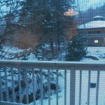 100_0398 100_0398