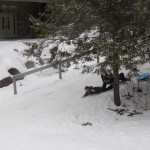 100_0448 100_0448