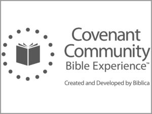 Community Bible Experience